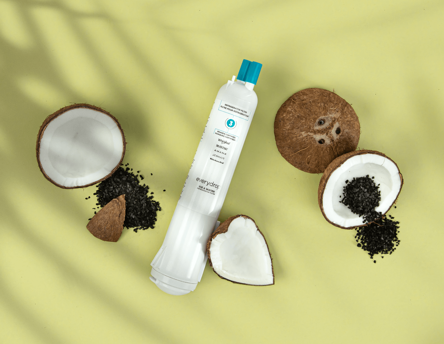 Un filtre everydrop® disposé parmi des noix de coco coupées et des piles de charbon.